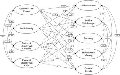 Indicators of Identity and Psychological Well-Being in Immigrant Population